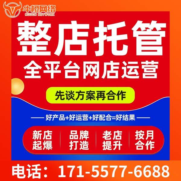 唐山电商代运营